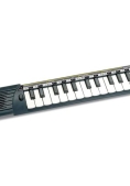 Immagine 0 di Concertino 25 Tasti   152500  Bontempi