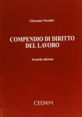 Immagine 0 di Compendio Di Diritto Del Lavor