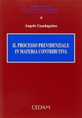 Immagine 0 di Processo Previdenziale