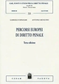 Immagine 0 di Percorsi Europei Di Diritto P.