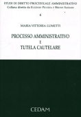 Immagine 0 di Processo Amministrativo