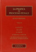 Immagine 0 di Pratica Processo Penale 3