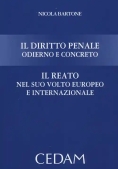 Immagine 0 di Diritto Penale Odierno E Conc