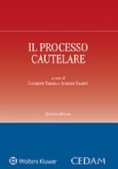 Immagine 0 di Processo Cautelare