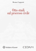 Immagine 0 di Otto Studi Sul Processo Civile