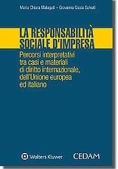 Immagine 0 di Responsabilita' Sociale Impresa