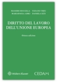 Immagine 0 di Diritto Del Lavoro U.e.