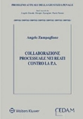 Immagine 0 di Collaborazione Processuale