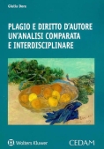 Immagine 0 di Plagio E Diritto D'autore