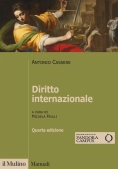 Immagine 0 di Diritto Internazionale