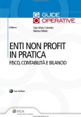 Immagine 0 di Enti Non Profit In Pratica