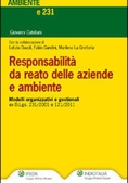 Immagine 0 di Responsabilita' Da Reato Delle