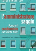 Immagine 0 di Amministratore Saggio