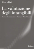 Immagine 0 di Valutazione Degli Intangibili