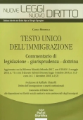 Immagine 0 di Testo Unico Immigrazione