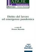 Immagine 0 di Diritto Del Lavoro Emerg.pand.