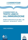 Immagine 0 di Commentario Al T.u. Immigrazione