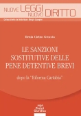 Immagine 0 di Sanzioni Sostitutive Pene Detentive Brev