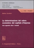 Immagine 0 di Determinazione Valore Economico Capitale