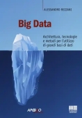 Immagine 0 di Big Data Architettura Tecn.metodi