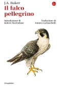 Immagine 0 di Falco Pellegrino (il)