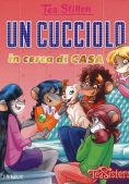 Immagine 0 di Cucciolo In Cerca Di Casa (un)