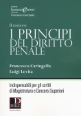 Immagine 0 di I Principi Del Diritto Penale 2018