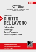 Immagine 0 di Compendio Diritto Del Lavoro 2022