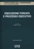 Immagine 0 di Esecuzione Forzata E Processo