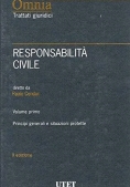 Immagine 0 di Responsabilita' Civile