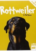 Immagine 0 di Rottweiler