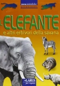 Immagine 0 di L'elefante