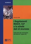 Immagine 0 di I Regolamenti Reach, Clp E La Scheda Dati Di Sicurezza. Guida Pratica Al