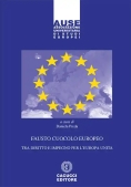 Immagine 0 di Fausto Cuocolo Europeo