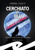 Immagine 0 di Cerchiato Di Blu