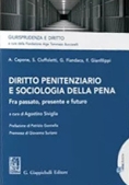 Immagine 0 di Diritto Penitenziario Sociologia Pena