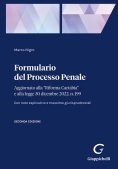 Immagine 0 di Formulario Processo Penale - Aggiornato Riforma Cartabia N199