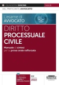 Immagine 0 di L'esame Di Avvocato - Diritto Processua