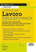 Immagine 0 di Codice Lavoro Esplicato Minor 2ed.