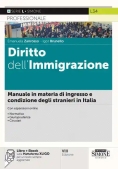 Immagine 0 di Diritto Dell'immigrazione 7ed.