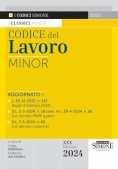 Immagine 0 di Codice Del Lavoro Minor 30ed.2024