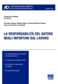 Immagine 0 di Responsabilit? Datore Infortuni Lavoro