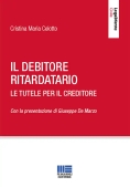 Immagine 0 di Debitore Ritardatario