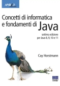 Immagine 0 di Concetti Di Informatica E Fondamenti Di Java