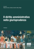 Immagine 0 di Diritto Amministrativo Nella Giurisprudenza (il)