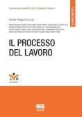 Immagine 0 di Processo Del Lavoro