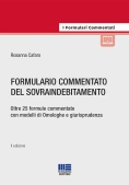 Immagine 0 di Formulario Commentato Del Sovraindebitamento