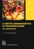 Immagine 0 di Diritto Amministr.in Trasform.