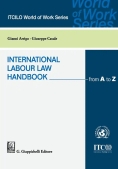 Immagine 0 di International Labour Law