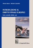 Immagine 0 di Introduzione Diritto Penale Ue